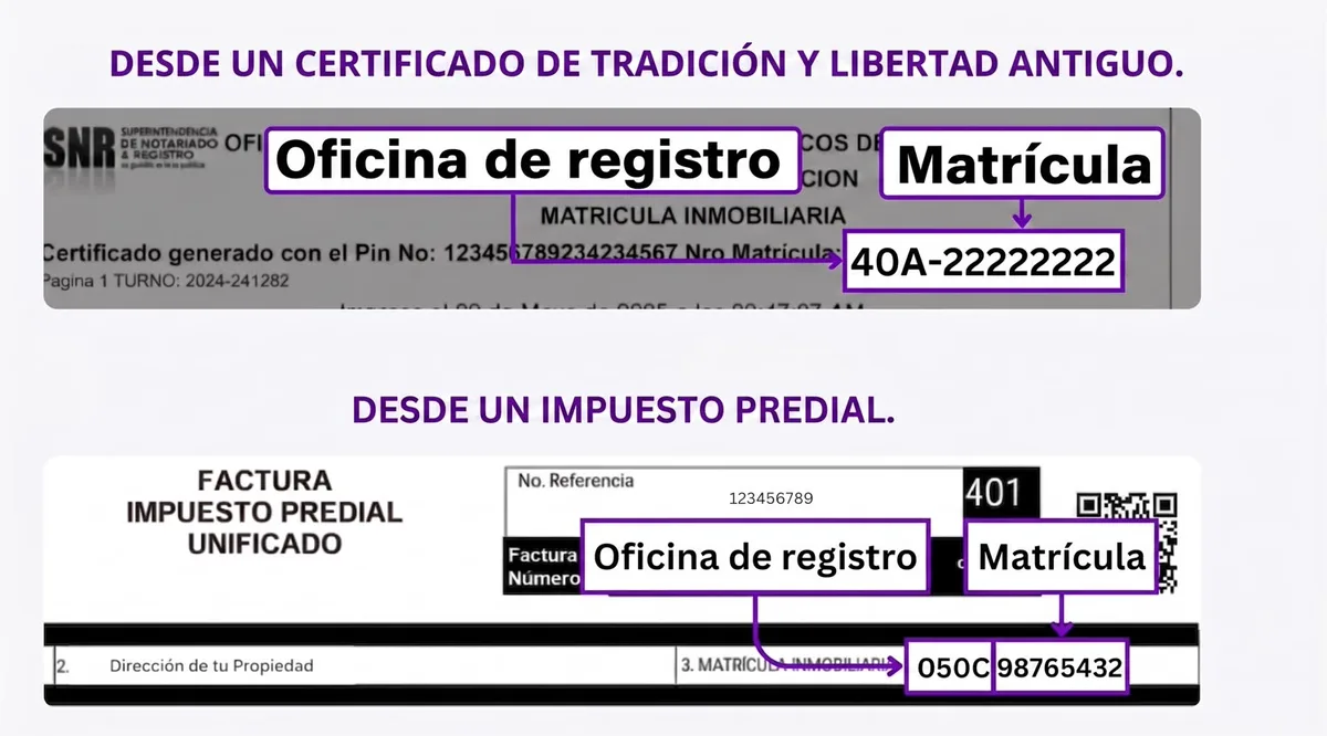 Cómo ubicar la oficina de registro y la matrícula inmobiliaria en un certificado de tradición o en una factura de impuesto predial